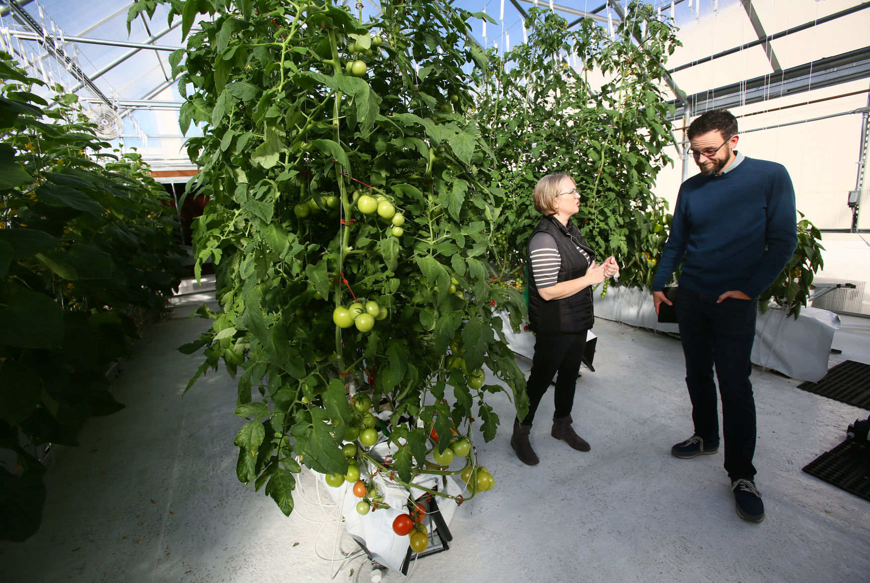 Rooftop greenhouse at UA